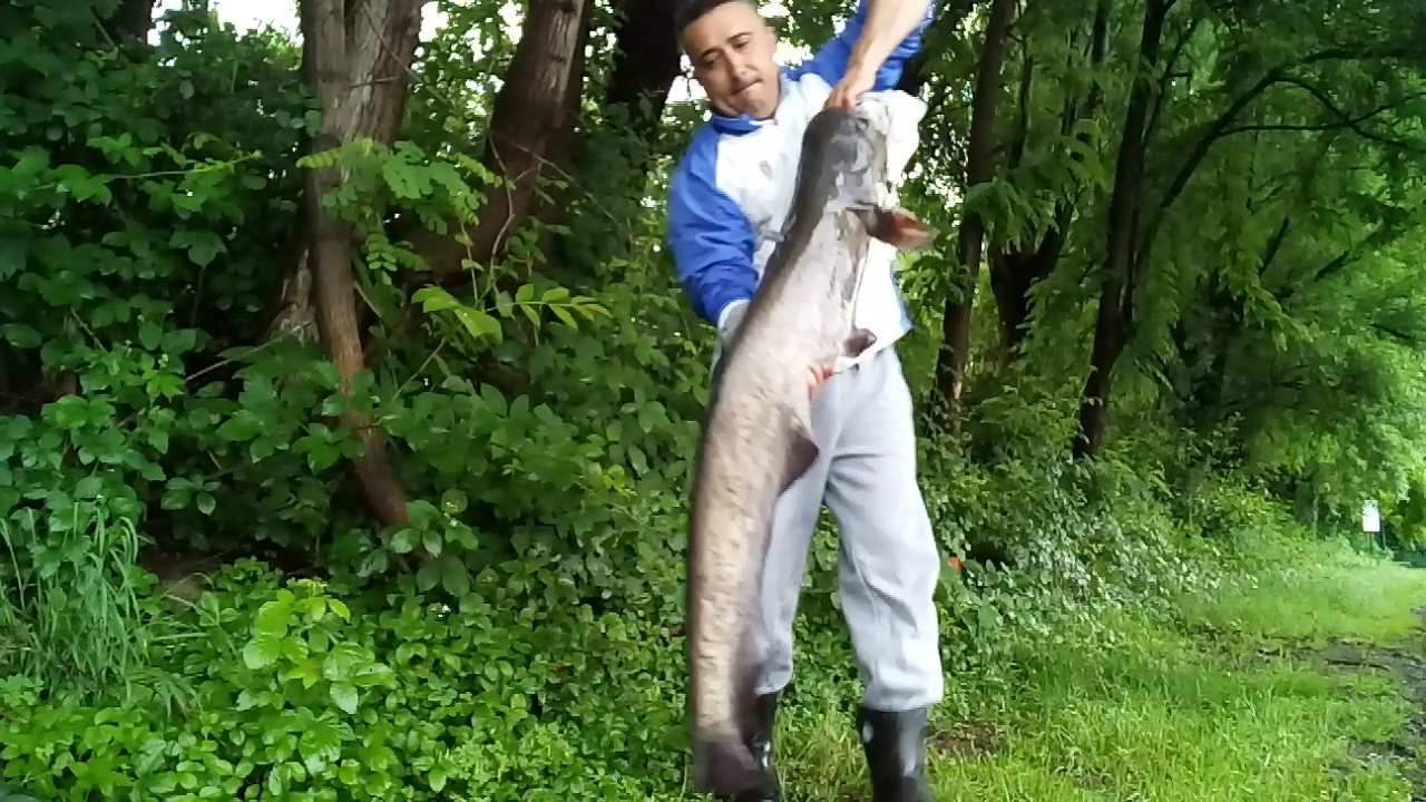 ISOLA DEL PESCATORE 28 - 29 mai 2018 - screenshot2018-05-29-09-21-52.png